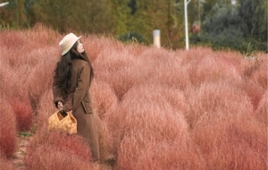 ����Ƭ�t�~���w���c(di��n)�n��ɫ����ͬ�ͮ�����