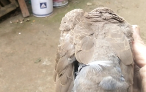 һֻ�w�M�S������B����ҿ��ó��@��ɶ�B�᣿