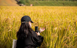 ��ꎣ��ޕr�򿨣�������S����