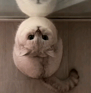 ���п�ԇ�Y���ˣ����f�@�ξ���߀�������С���ݼ���ģ��Л]�м��L͸¶����Ϣ