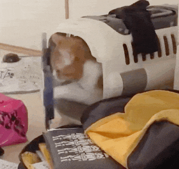 ����������L��������ˣ�����o�����BһЩ�Ҹ�