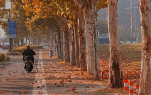 ����M������է������һ��\���r