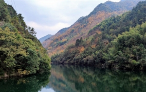 ���L�ŵ������ߣ���ͽ���컨��Ļպ��ŵ�