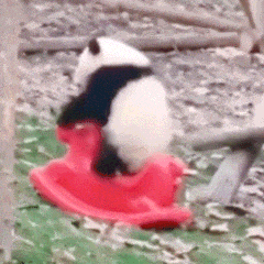 ���վ��Ȼֻ��һ��݆�Σ��@�ȓ�܇Ʊ߀�y