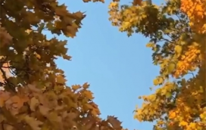 ��՚��(zh��n)�r���_(d��)���·�һҹ�붬