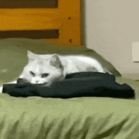 �F�ڛ]܇���к�����ě]�����H�ę����ˆ᣿�W�Ѷ���ô��