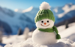 ����������붬��