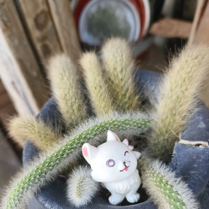 �W�Ѷ���������Gֲ���������o��~