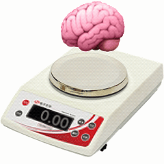 �����ˣ��ȼt�G���r��߅�ϵČW���o�R��