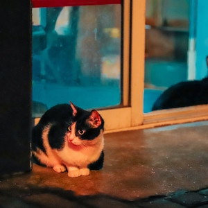 ��Щ�ː���ô������B��ֻ����؈�oС�^܇��ץ���󣬵��s�����s����