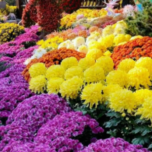 �򿨾ջ�չ�������纆���q�°�ů