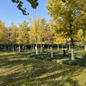 ̫ٝ������ꎘ�ľ�������¡�