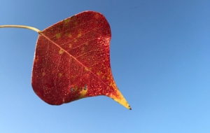 �o��Ԋ��ĕr����������߅��������ɫ