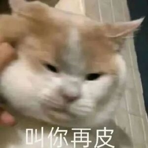 ���דƿ쿴���ˣ���֪����ʲô�F�ڶ����@�ӵ��L��