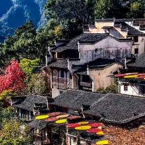 �򿨽�����X��ɽ����������������