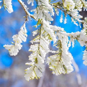 �ɹ���՚⣬�������l؛����