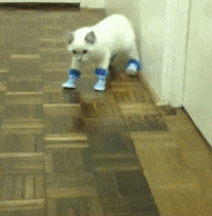 �ϱ��h(yu��n)����W��һ�D�����Űl(f��)�F(xi��n)ԭ�������h(yu��n)����O(sh��)�Æ��}