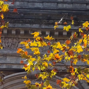 �ﾰ���������~�@�ж��ƣ�v�ſ����`