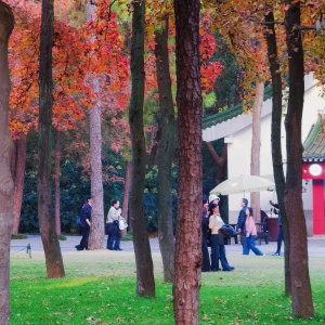 ���Ĵ򿨣�һ����ͩ�����N�M�Ͼ���