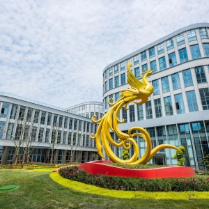 ��ꎣ���ʮһ�B�ڣ�