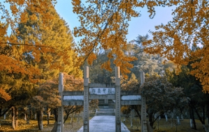 �򿨹ų����������ܴ���Ȼ������