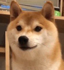 ��ɷݹ����ۣ�ÿ��ֻ˯���Ă�С�r~