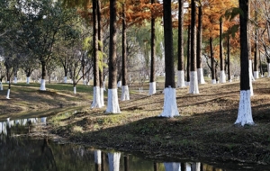 �򿨏��Ҹ���ɽ�L���^����ɽ�t׷�Lȥ