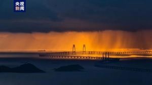 12��15���_ͨ������˳������C����ȥ��