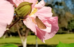 ��ȥ�����f��ǣ�ֻ�δ������Ӛw