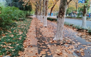 �S�ģ����M�����~���ֵ�����u��