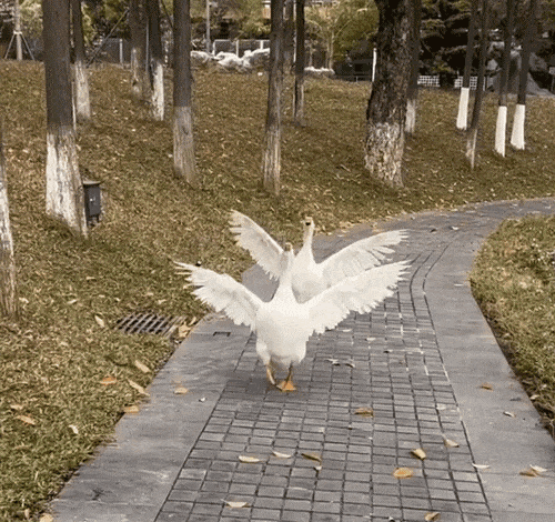 �|������F���þ�·����(li��n)�����ǱP߀�ܽ��볣��1̖��