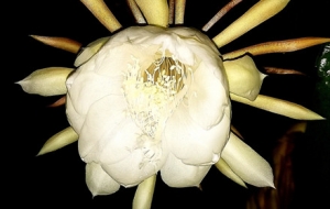 ӛ䛕һ�һ�F���̕�����������������