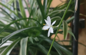 ���㿴������Ļ����ݲݣ��L��ϲ��