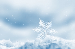 �Y(ji��)��+��ѩ���p�A(y��)����̖(h��o)