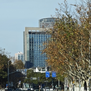 ꖹ��µĽ�ꎣ�������ѩ����ɫ���g��һ��