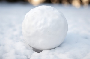 ߀ӛ��94�꣬��ͬ�W(xu��)��ȥ��ѩ���ώ��Pվ����������߀�Ǻ��_��