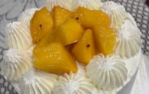 �W�ѷ������Ƶ�Ĩ�浰�⣺��Č��� �������