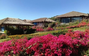 ���u�_(t��i)���У����������L(f��ng)�������ĕ�����