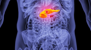 35�q����(g��)����߀�����ڟo(w��)�����g(sh��)�� ���YԽ��(l��i)Խ���p����