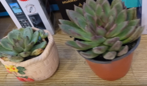 �W�ѷ�������Ҋ���⣬������g