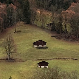 ���^ȥ�f��Ҋ���ʂ�ӭ��ȫ�µ�2024