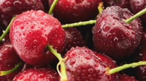 ����܇��������I���@���e�ӱ�������˼�~