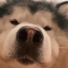 С����У���I(y��)���ϰ�ȥ��1��־Ը�ߣ��Q���ゃ�ܽ��܆᣿