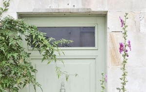 �S���������M�۶������µľGɫ