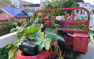 �ؑc�Σ�܇�L�M�˹ϣ�̎̎�l�F���c