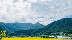 �W���S���ģ�����ˮ�l �L������