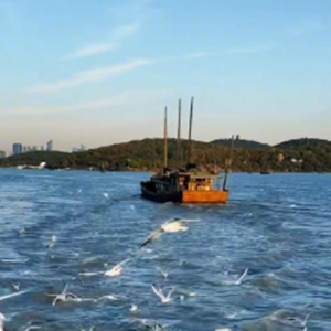 S1ֱ�_�o�a��܇վ���D����1��ֱ�_�x�^便����t~