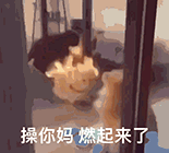 ����������ܲ�Ҷ����c���ȥ��