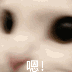 S1�����_ͨ�ӿ����Ļ����ںϣ�������vԒ������ֲ���̫����