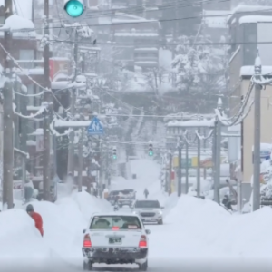 ���շ������wѩ��������ѩ�鰲��